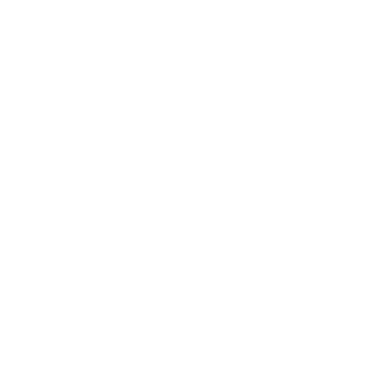 Dental Crowns and Bridges